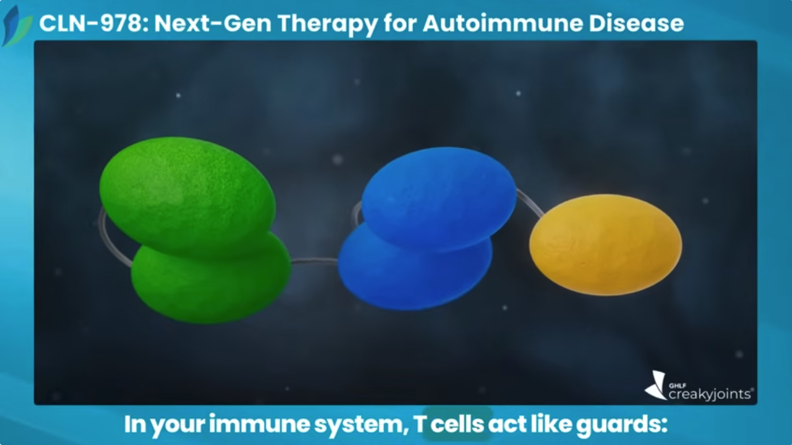 T Cells Thumbnail